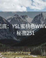 隐情大起底：YSL蜜桃色WWW的内幕 · 秘密251