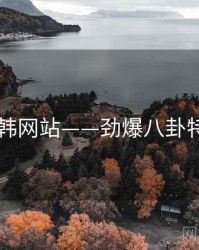 日韩网站——劲爆八卦特辑