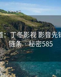 追踪报道：丁冬影视 影音先锋的秘密链条 · 秘密585