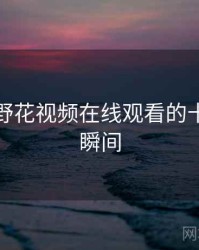 盘点：野花视频在线观看的十大高光瞬间