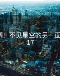 暗中故事：不见星空的另一面 · 秘密317