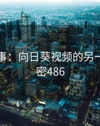 暗中故事：向日葵视频的另一面 · 秘密486