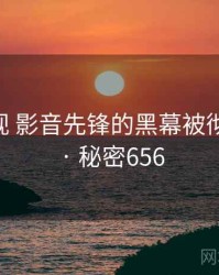 丁冬影视 影音先锋的黑幕被彻底揭开 · 秘密656