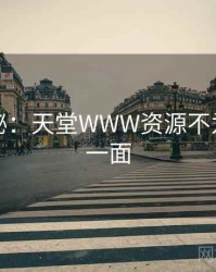 独家揭秘：天堂WWW资源不为人知的一面