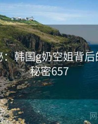 深度揭秘：韩国g奶空姐背后的谜团 · 秘密657