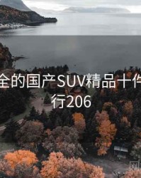 史上最全的国产SUV精品十件事 · 排行206