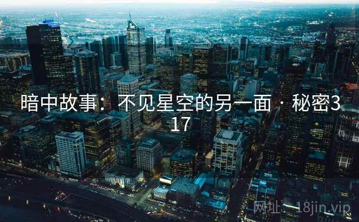 暗中故事：不见星空的另一面 · 秘密317