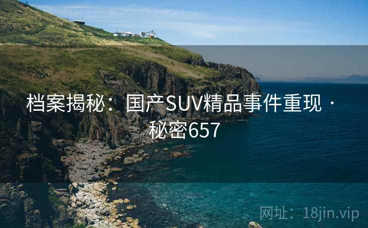 档案揭秘：国产SUV精品事件重现 · 秘密657
