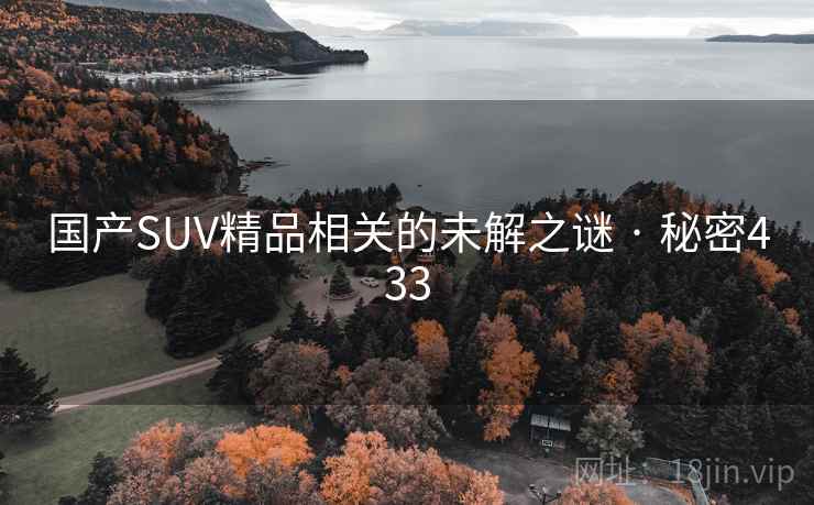 国产SUV精品相关的未解之谜 · 秘密433