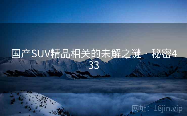 国产SUV精品相关的未解之谜 · 秘密433