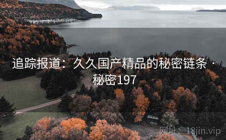 追踪报道：久久国产精品的秘密链条 · 秘密197