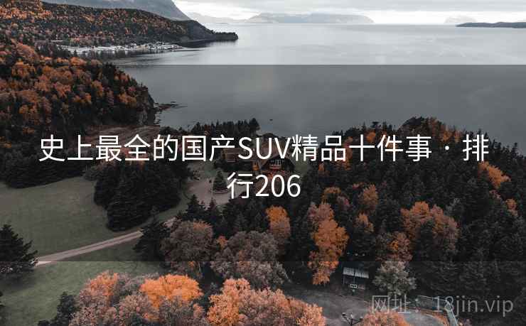 史上最全的国产SUV精品十件事 · 排行206
